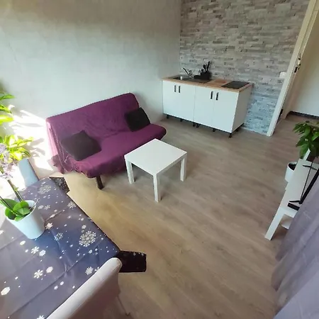 Les Des Mandariniers Apartment Cagnes-sur-Mer